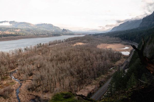 View of the Gorge from past Ponytail Falls